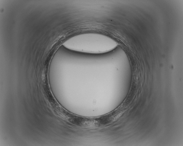 X0000067850595200604130921