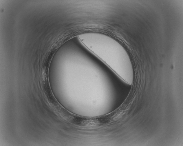 X0000067850597200604130921