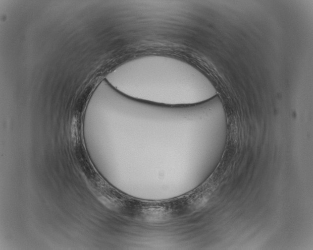 X0000067850598200604130921
