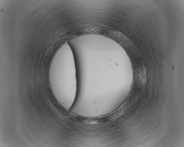 X0000067850602200604130921