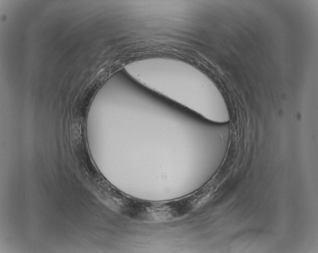 X0000067850603200604130921