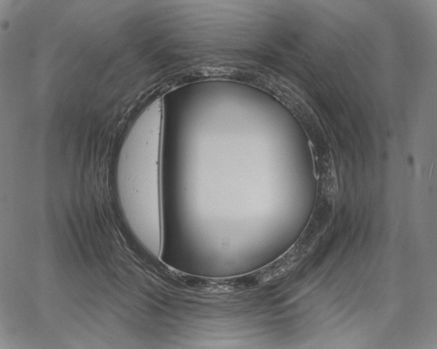 X0000067850604200604130921