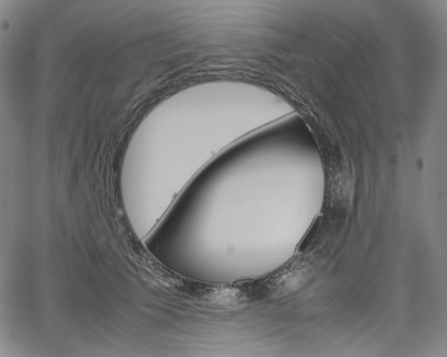 X0000067850609200604130921