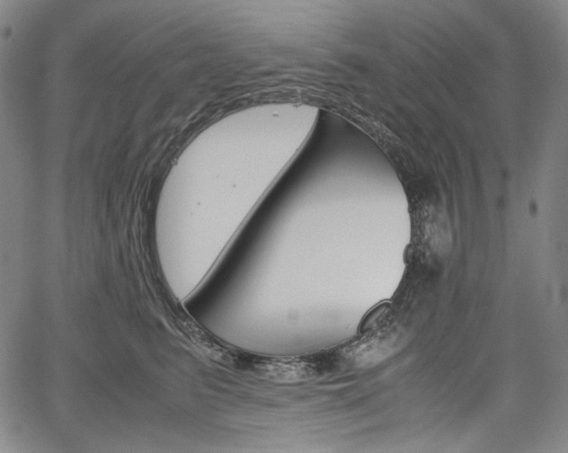 X0000067850615200604130921