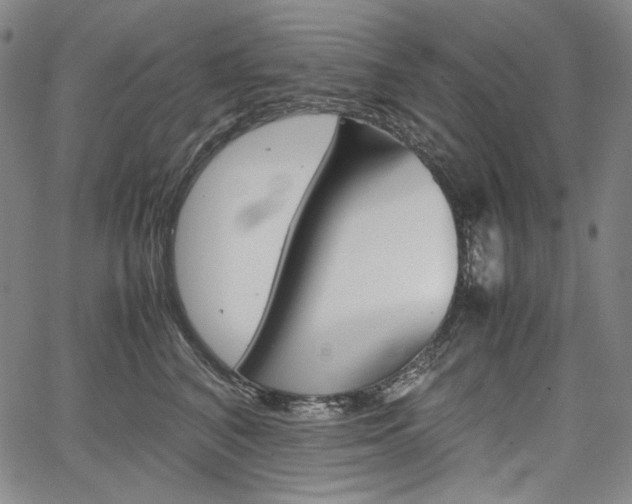 X0000067850616200604130921