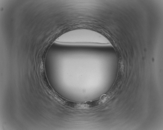 X0000067850617200604130921