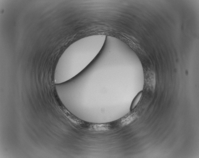 X0000067850622200604130921