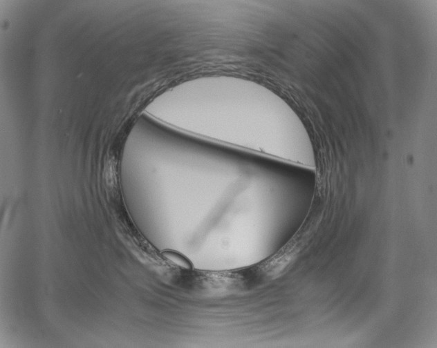 X0000067850623200604130921