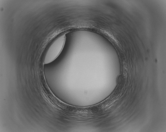 X0000067850631200604130920