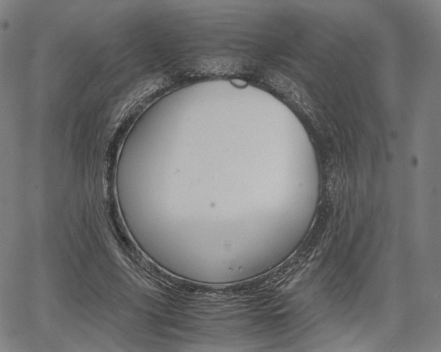 X0000067850635200604130920