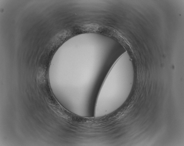 X0000067850641200604130920
