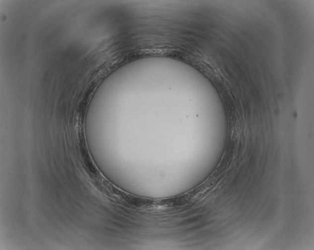 X0000067850647200604130920