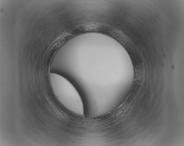 X0000067850648200604130920
