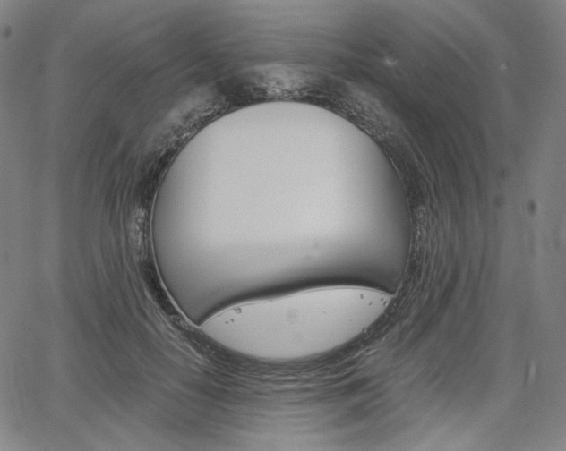 X0000067850650200604130920