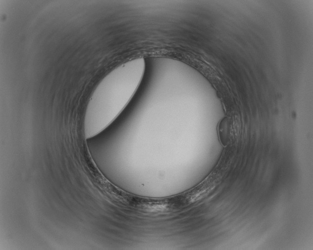 X0000067850651200604130920
