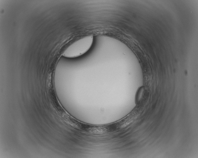 X0000067850652200604130920