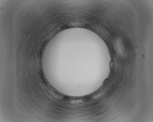 X0000067850653200604130920