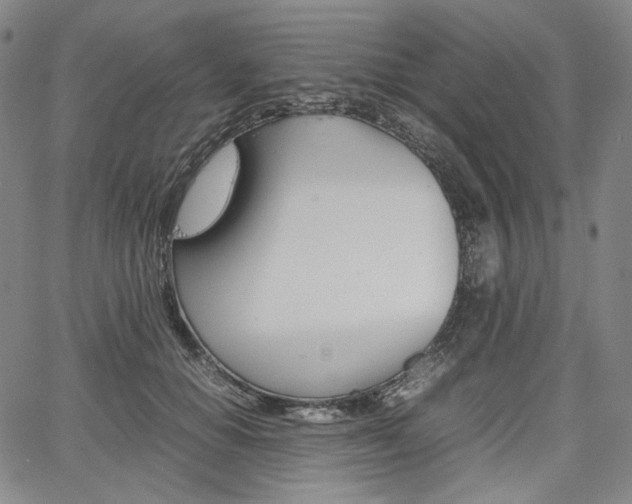 X0000067850654200604130920
