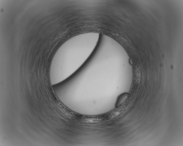 X0000067850657200604130920