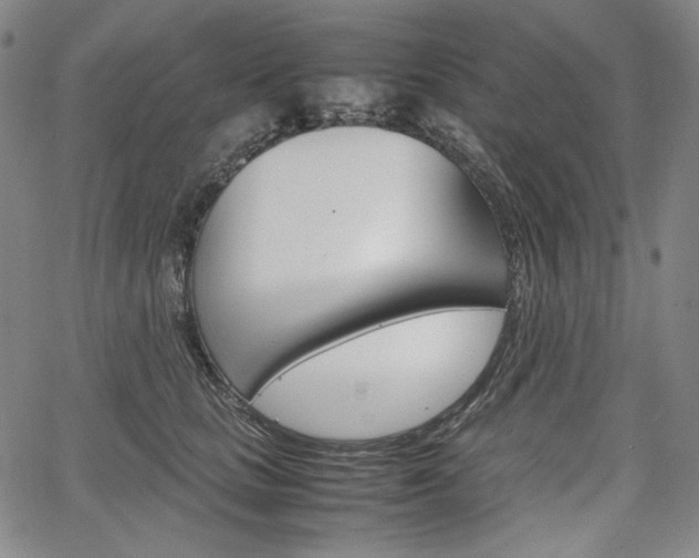 X0000067850661200604130921