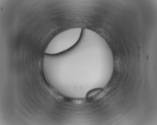 X0000067850662200604130921