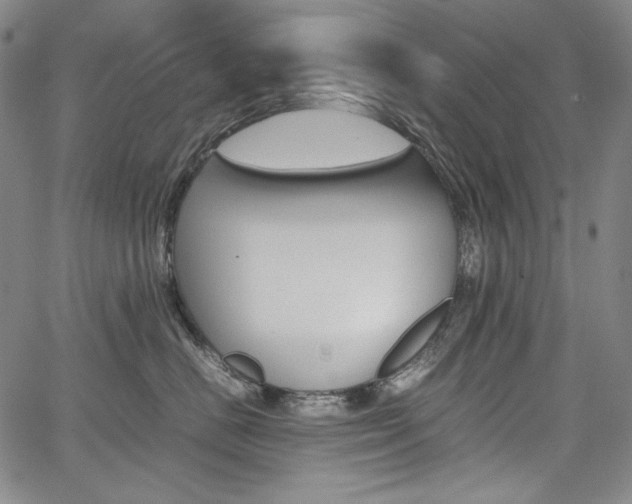 X0000067850670200604130921