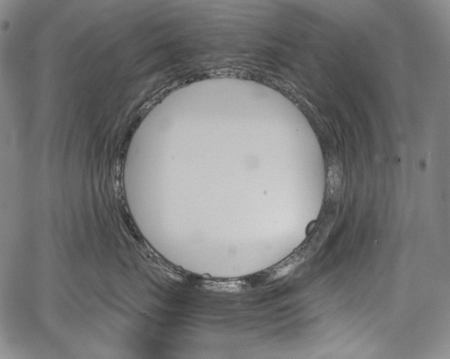 X0000067850671200604130921