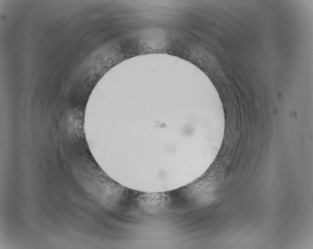 X0000067850672200604130921