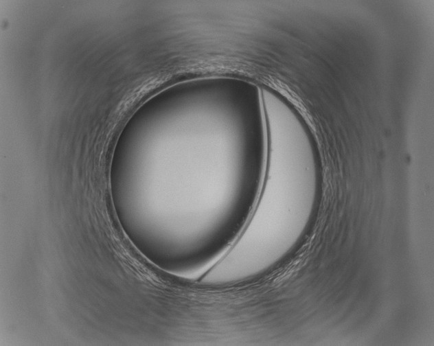 X0000067850673200604130920