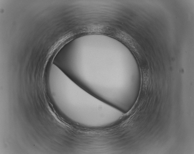 X0000067850674200604130920