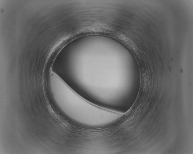 X0000067850680200604130920