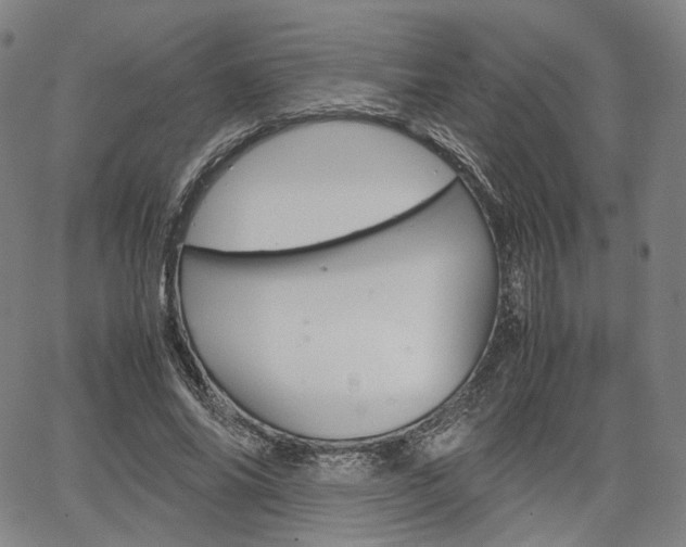X0000067850686200604130920