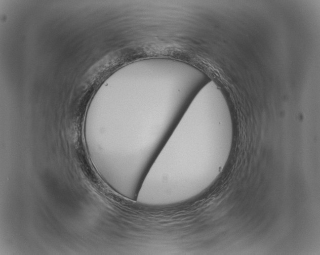 X0000067850687200604130920