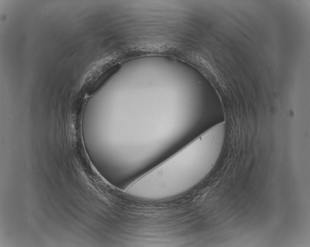 X0000067850688200604130920