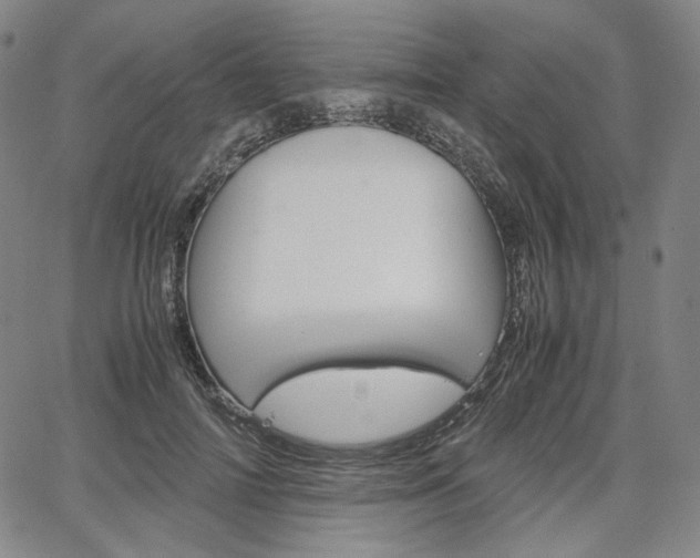 X0000067850698200604130919