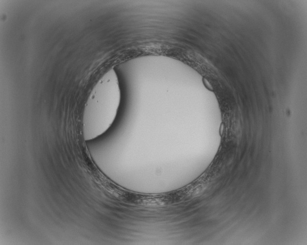 X0000067850702200604130919