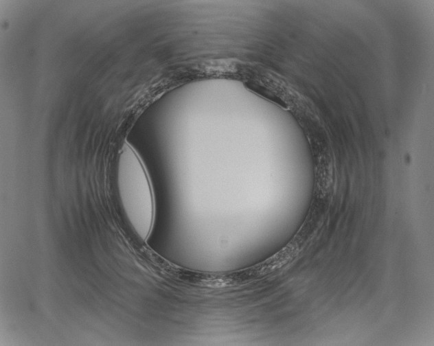 X0000067850704200604130919