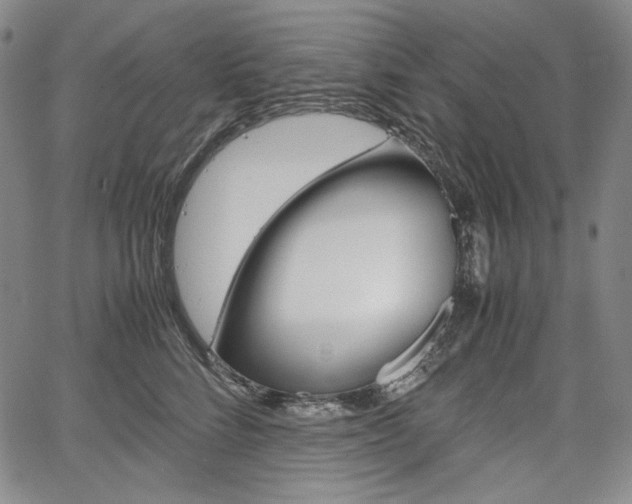 X0000067850712200604130919