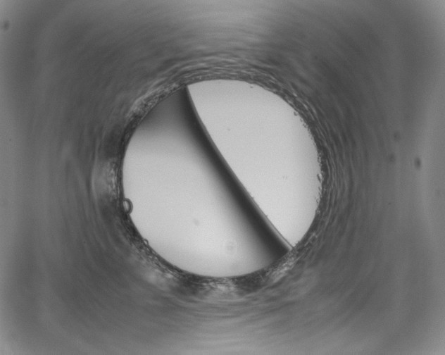 X0000067850715200604130919