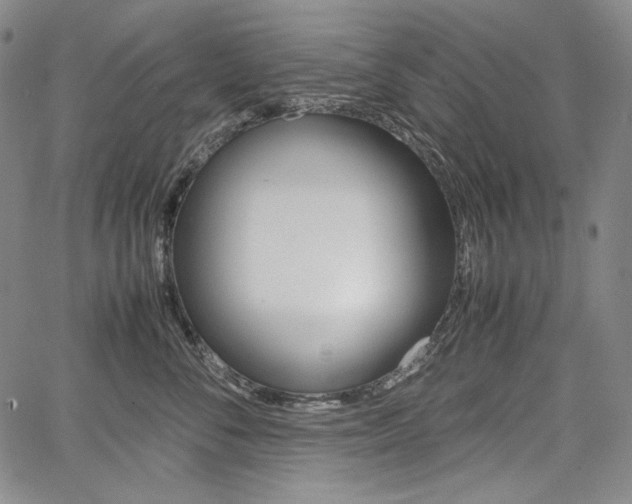 X0000067850716200604130919