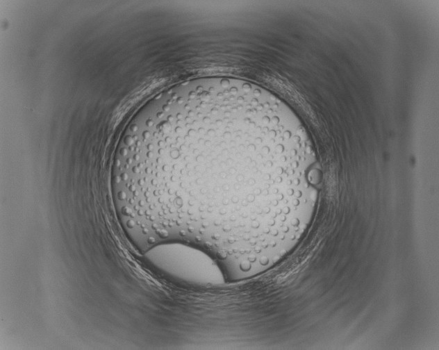 X0000067850721200604130918