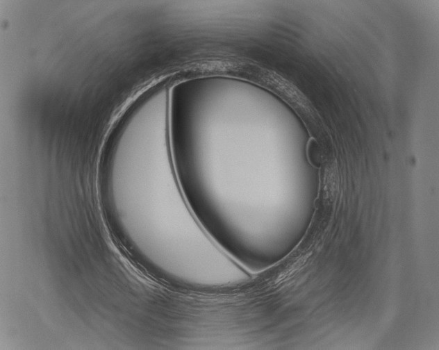 X0000067850722200604130918