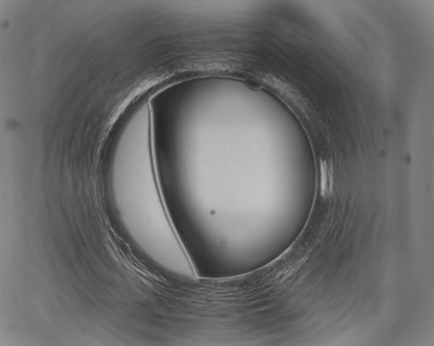X0000067850723200604130918