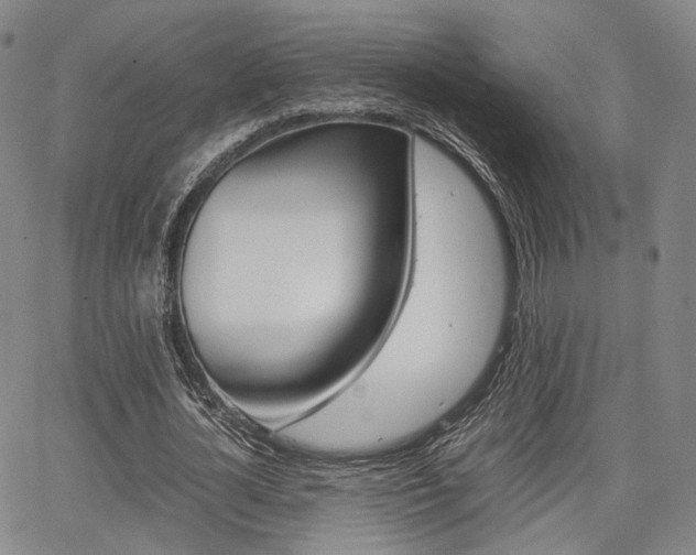 X0000067850724200604130918
