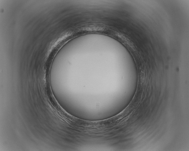 X0000067850727200604130918