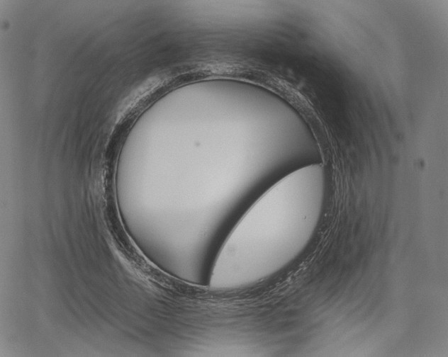 X0000067850730200604130918