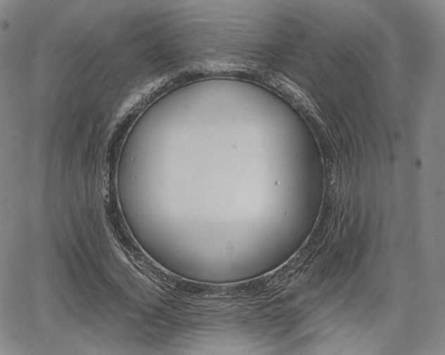 X0000067850732200604130918