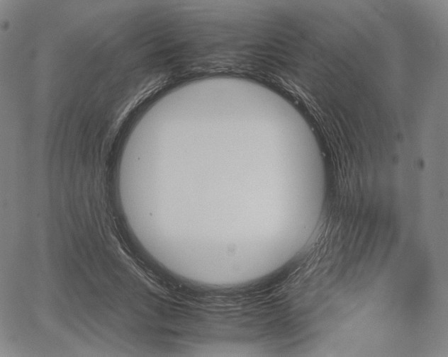 X0000067850735200604130919