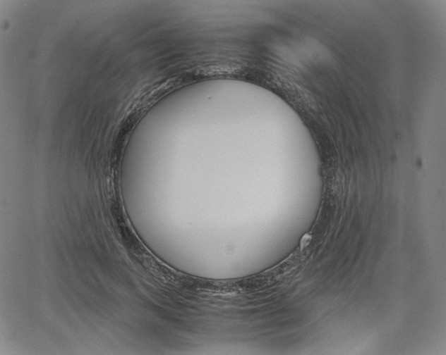 X0000067850743200604130919