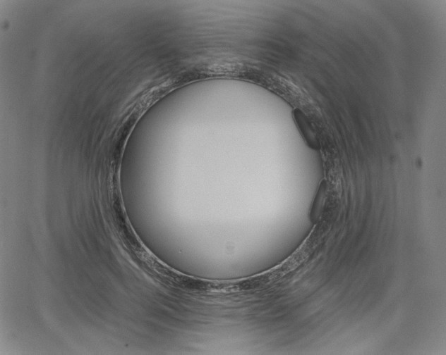 X0000067850744200604130919
